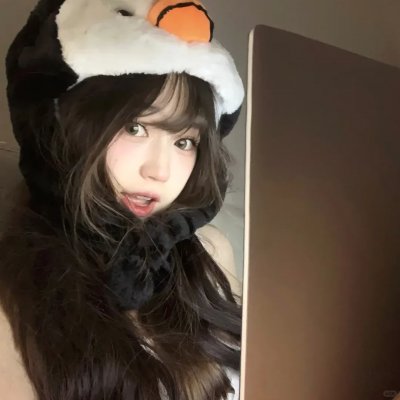 追凶双雄