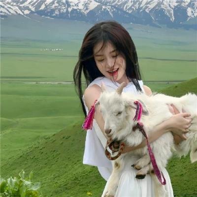 帕美嘉